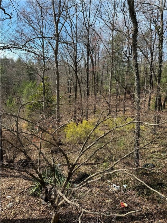 251 Oak Haven Dr, House other with 4 bedrooms, 3 bathrooms and null parking in Mountain Rest SC | Image 18