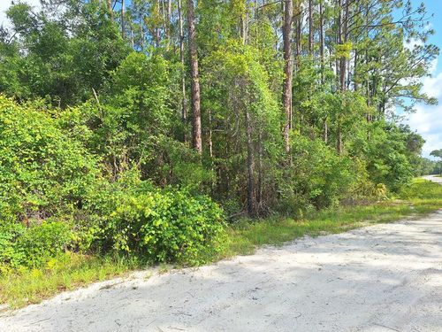 Lot 39 Ne 512th St, Old Town, FL, 32680-8879 | Card Image