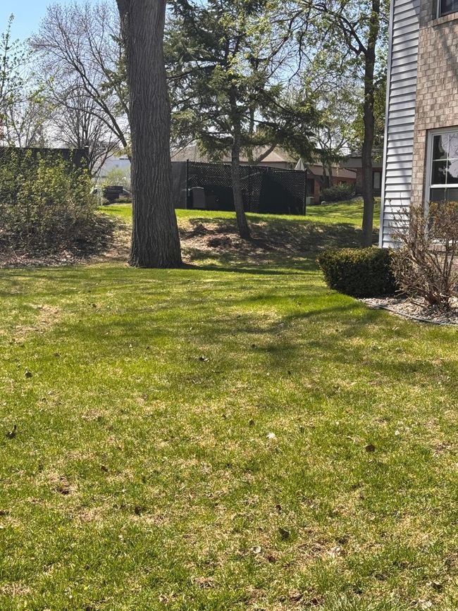 Backyard Space | Image 38