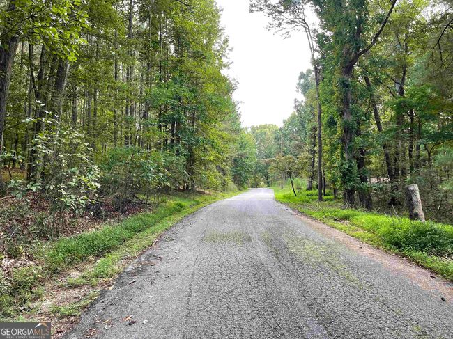 0 Peach Orchard Dr, Home with 0 bedrooms, 0 bathrooms and null parking in Alto GA | Image 33
