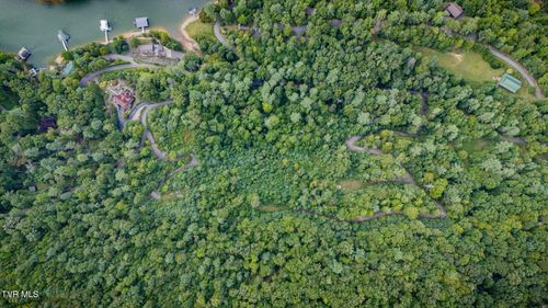 Tbd Cove Ridge Rd, Butler, TN, 37640 | Card Image