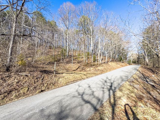 92 Acres Laurel Fork Rd, Home with 0 bedrooms, 0 bathrooms and null parking in Rocky Gap VA | Image 21