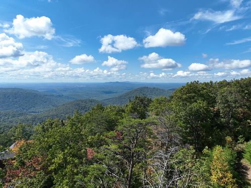 246 Andes Rdg, Ellijay, GA, 30536 | Card Image