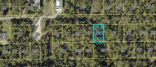 7091 Guava Ave, BOKEELIA, FL, 33922 | Card Image