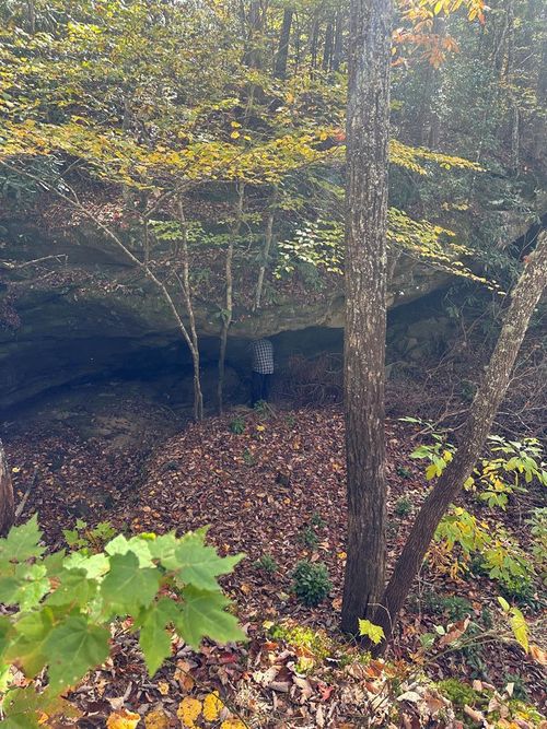 Lot 91 Buckeye Ln, Wilder, TN, 38589 | Card Image