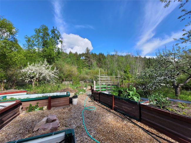 View of yard with a garden and a forest view | Image 107