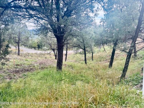106 Deodar Dr, Ruidoso, NM, 88345-6511 | Card Image