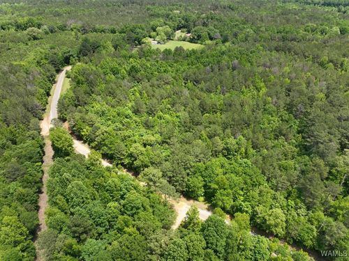 0 Yorkville Rd, Ethelsville, AL, 35461 | Card Image