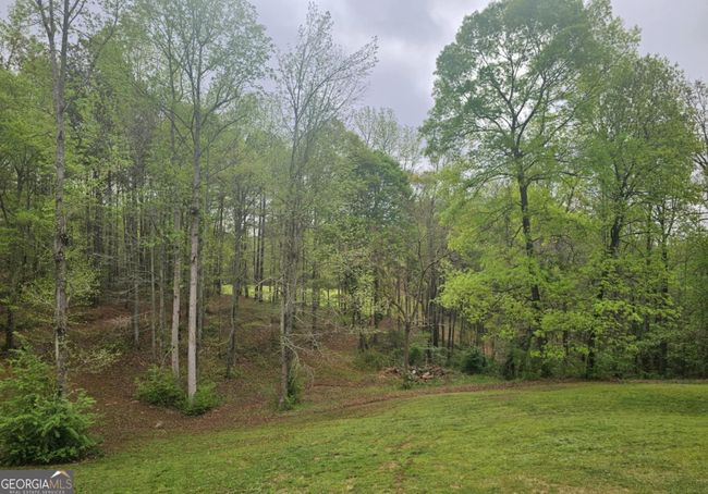 4474 Hollingsworth Ferry Rd, House other with 4 bedrooms, 4 bathrooms and 2 parking in Franklin GA | Image 43