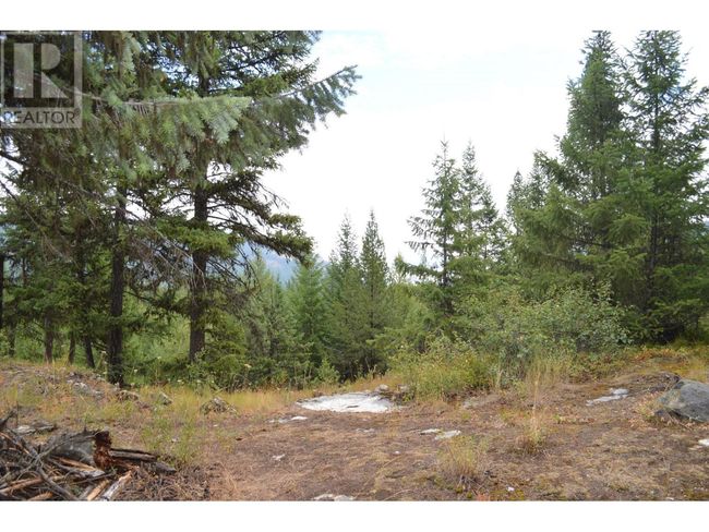 Lot 1 3 Rd St, Home with 0 bedrooms, 0 bathrooms and null parking in Kootenay Boundary BC | Image 17