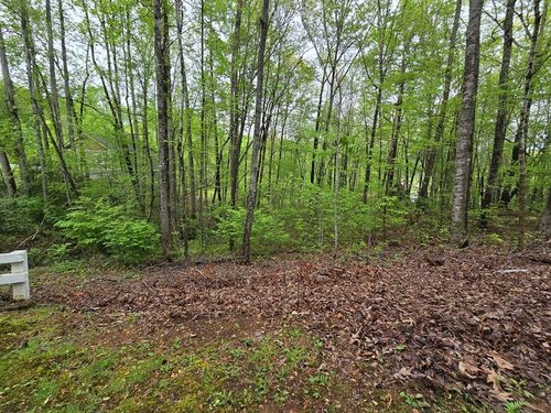Lot 69 Chatuge Village Dr, Hayesville, NC, 28904-4787 | Card Image