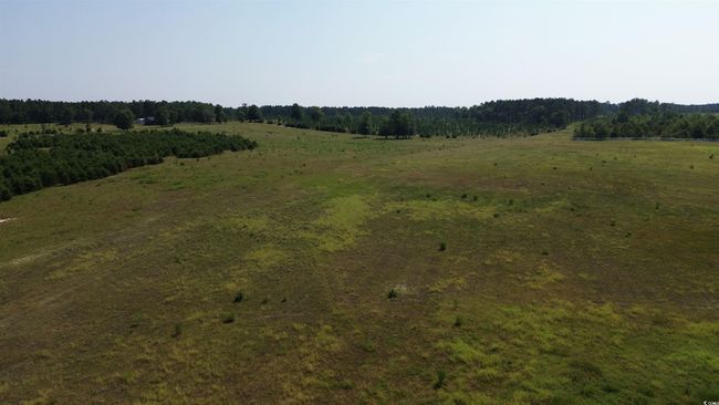 View of woods with a rural view | Image 18