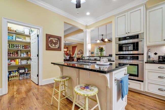 171 White Pelican Ct, House other with 3 bedrooms, 3 bathrooms and null parking in CARRABELLE FL | Image 20