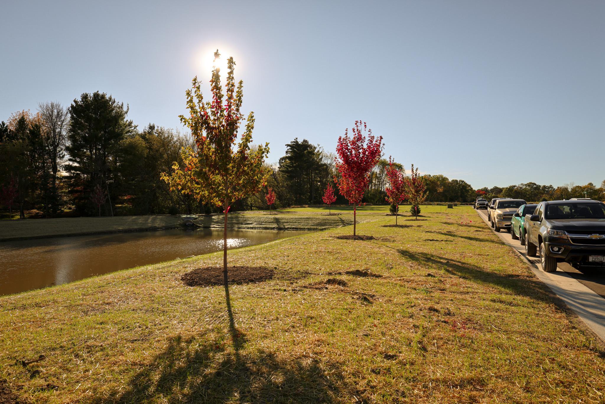 Residential in Amery 5