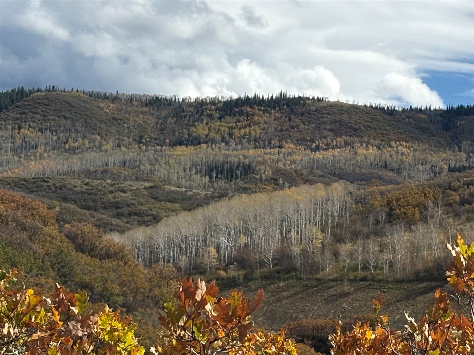 Land in Oak Creek 5