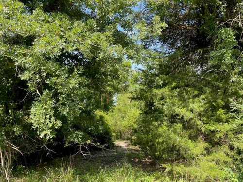 TBD Lcr 789, Groesbeck, TX, 76642 | Card Image