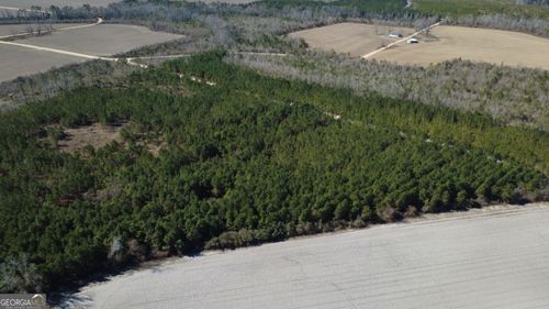 TRACT 3 Greyhound Rd, Mershon, GA, 31551 | Card Image