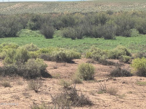 445-Lot 445 Carrizo Ranch --, St Johns, AZ, 85936 | Card Image