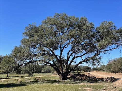 29 Shorebird, Columbus, TX, 78934 | Card Image