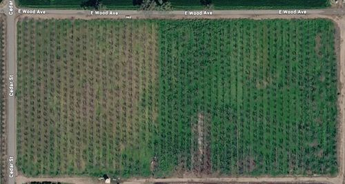 21600 Cedar Ave, Laton, CA, 93242-9719 | Card Image