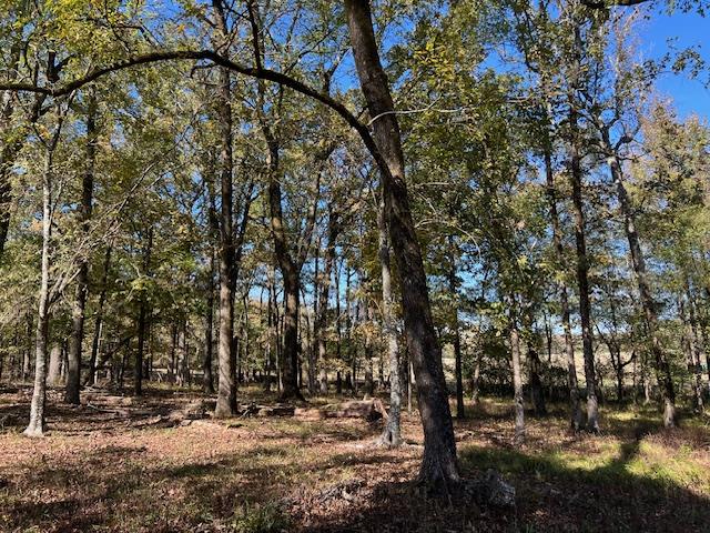 Land in Broken Bow 4