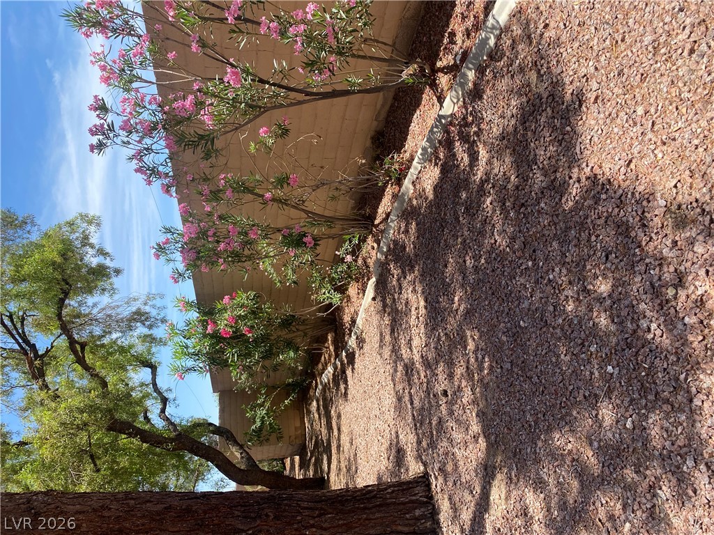 Residential in Las Vegas 2