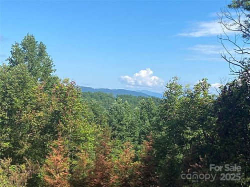 55v-125 Brindlewood Dr, Nebo, NC, 28761-0158 | Card Image