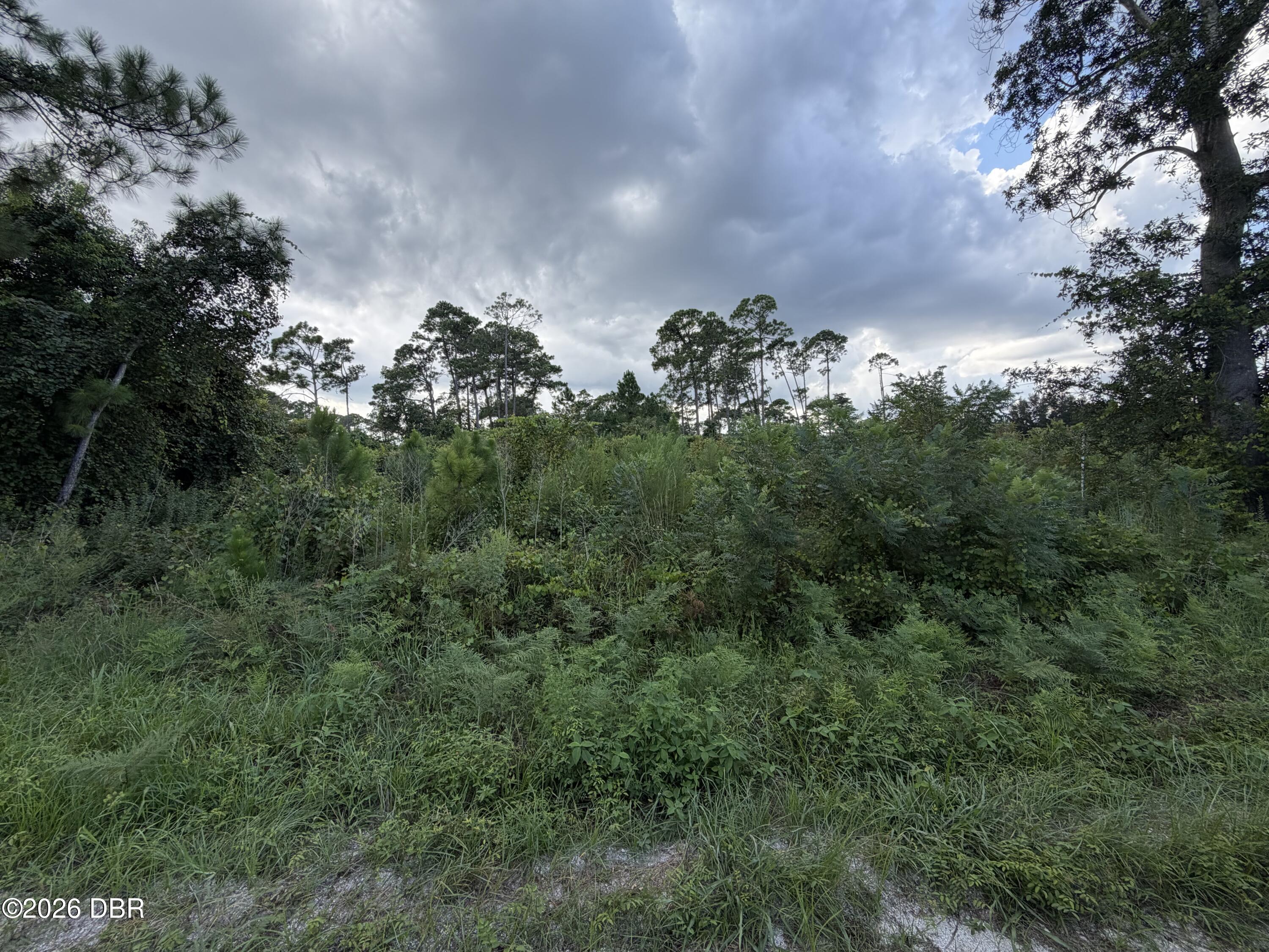 Land in DeLand 3
