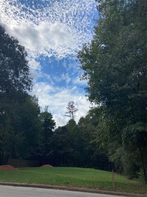 3348 Knob Oaks Dr, Huntsville, TX, 77340-8932 | Card Image