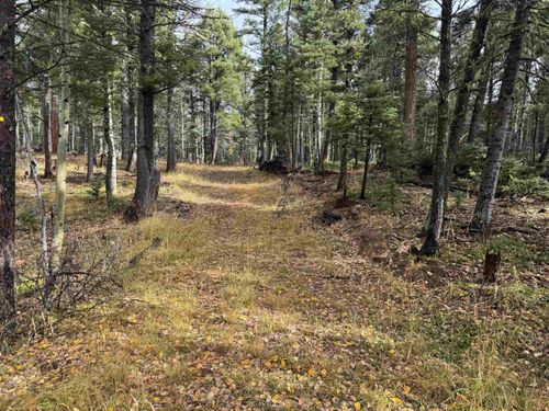 Lot 15 Vermejo Cir, Angel Fire, NM, 87710-8285 | Card Image