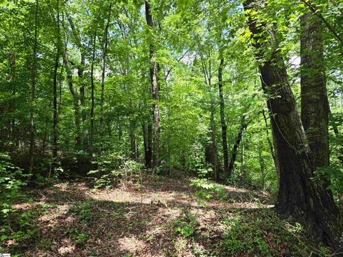 00 Ross Dr, Starr, SC, 29684 | Card Image