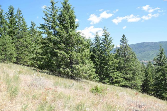 1555 Comstock Mine Rd, Home with 0 bedrooms, 0 bathrooms and null parking in Colville WA | Image 11