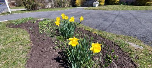 112 Cabot Ave, Elmsford, NY, 10523-2129 | Card Image