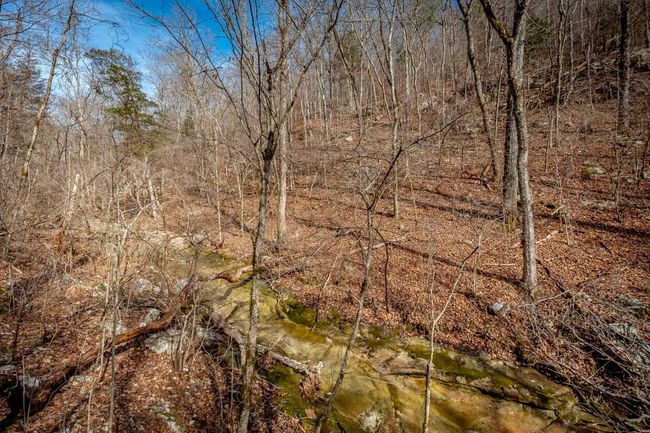 00 Bear Skin Dr, Home with 0 bedrooms, 0 bathrooms and null parking in Harriet AR | Image 26
