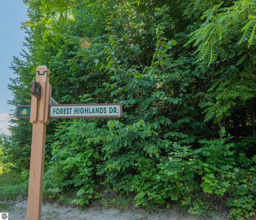 Lot 165 Forest Highlands, Bellaire, MI, 49615 | Card Image