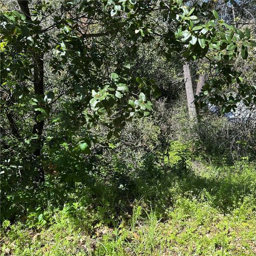 6972 Floyd Way, Nice, CA, 95464-8534 | Card Image