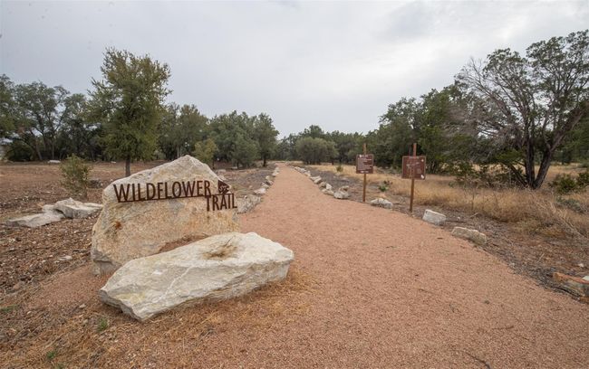Lot 44 Mountain Laurel Lane, Home with 0 bedrooms, 0 bathrooms and null parking in Spicewood TX | Image 28