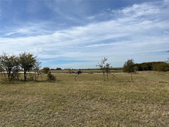 63 Longview Creek Trail, Home with 0 bedrooms, 0 bathrooms and null parking in Itasca TX | Image 5