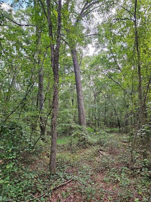 801 Chrisco Rd E, Seagrove, NC, 27341-7439 | Card Image