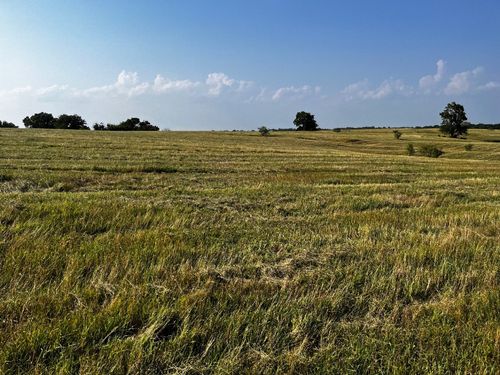tbd Fm 2930, Blooming Grove, TX, 76626 | Card Image