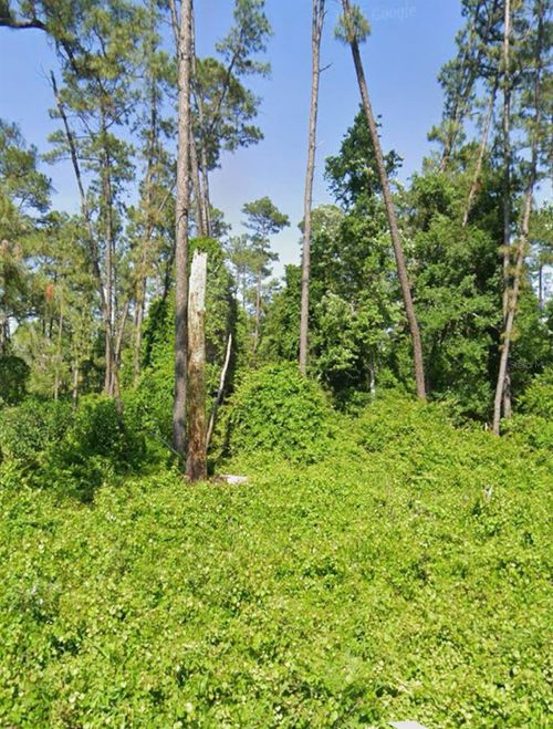23 Malauka Pass, OCKLAWAHA, FL, 32179-6009 | Card Image