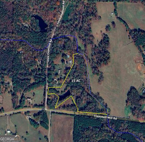 0 Trammell Mill Rd, Shiloh, GA, 31826 | Card Image