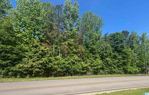 0-0 Springville Boulevard, Oneonta, AL, 35121 | Card Image