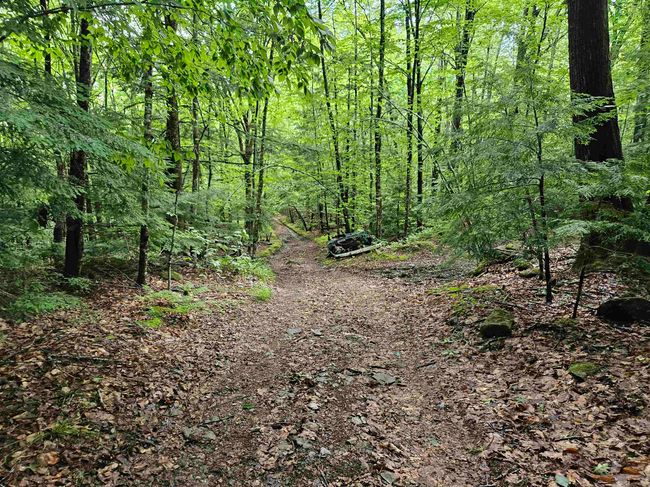 4000-ANDAMP-5000 - 00 Snowshoe Hill Rd, Home with 0 bedrooms, 0 bathrooms and null parking in Canterbury NH | Image 11