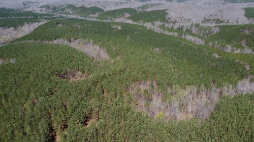 0 Sassafras Stand Ridge Rd, Linden, TN, 37096 | Card Image