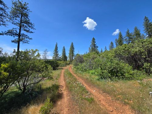 17711 Pamlo Way, Brownsville, CA, 95919 | Card Image