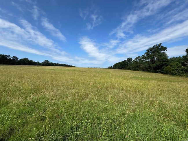 00 Calico Rd, Home with 0 bedrooms, 0 bathrooms and null parking in Clinton AR | Image 13