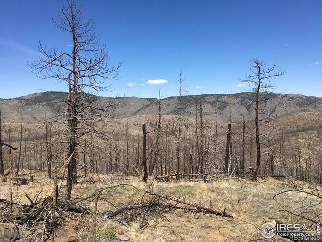 3600 Moondance Way, Home with 0 bedrooms, 0 bathrooms and null parking in Bellvue CO | Image 11