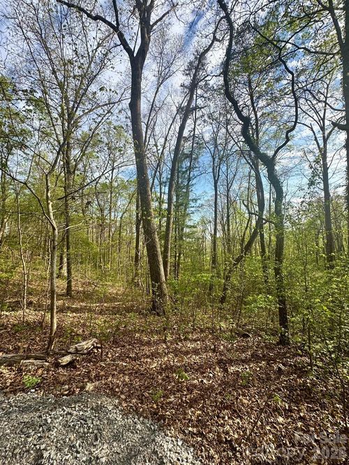 86-99999 Buffalo Trl, Asheville, NC, 28805 | Card Image