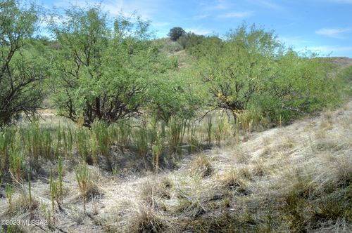 lot-25-190 Tanglehead Ln, Patagonia, AZ, 85624 | Card Image